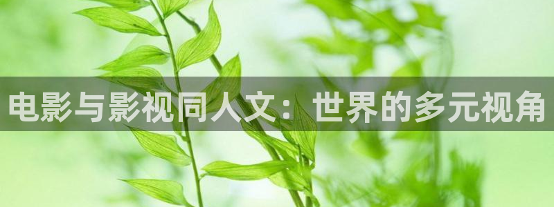 轨道 影院：电影与影视同人文：世界的多元视角