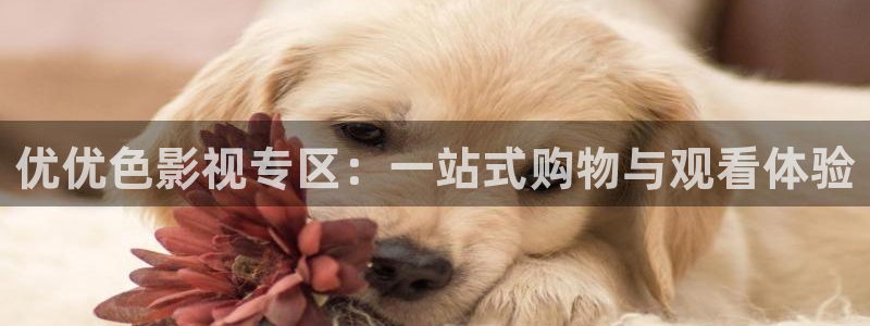 轨道9 电影：优优色影视专区：一站式购物与观看体验