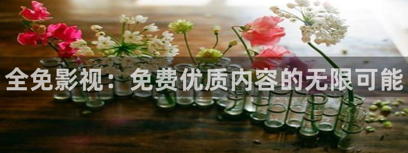 轨道影院厂：全免影视：免费优质内容的无限可能