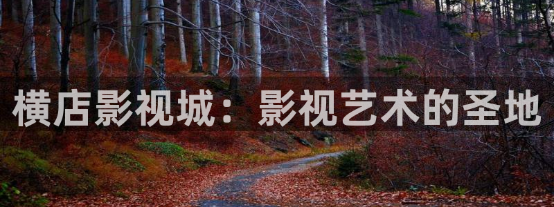 轨道影院免费播放电视剧入口：横店影视城：影视艺术的圣地