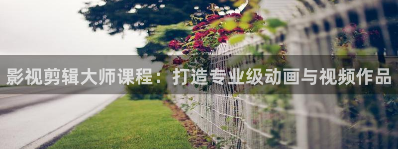9d轨道影院是什么：影视剪辑大师课程：打造专业级动画与视频作品