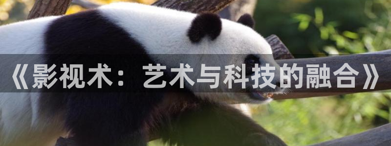 环幕轨道影院：《影视术：艺术与科技的融合》