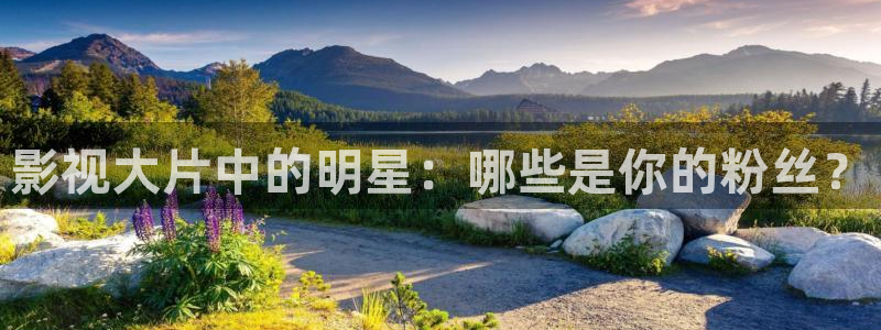 裸眼3d环幕轨道影院：影视大片中的明星：哪些是你的粉丝？