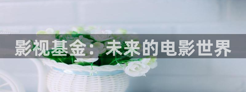 轨道9 电影